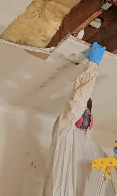 Storm damage ceiling leak cleanup in New River AZ 85087