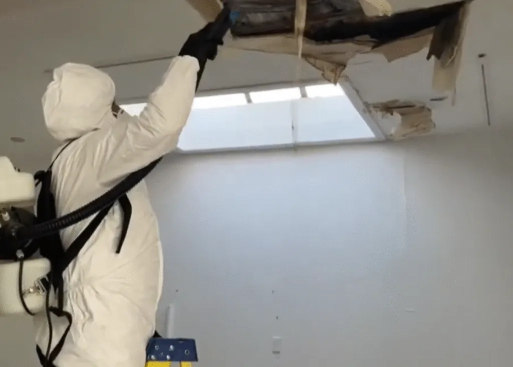 Mold remediation technician removing contaminated ceiling material in New River AZ 85087
